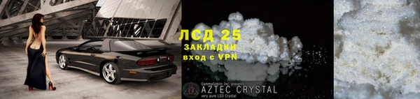 амф Богданович