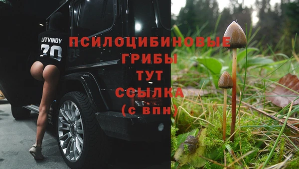 амф Богородицк