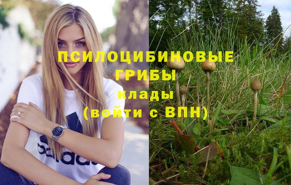 амф Богданович