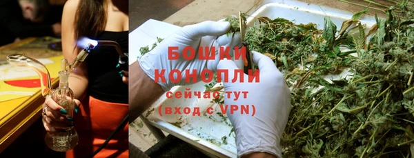 стафф Богородск