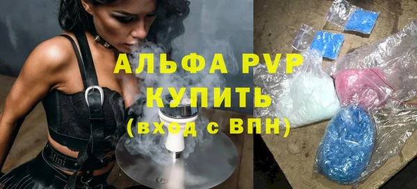 амф Богородицк