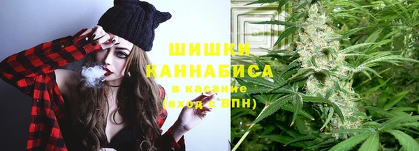 стафф Богородск