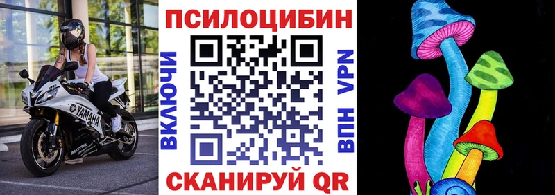 Псилоцибиновые грибы мицелий  площадка официальный сайт  Любань 